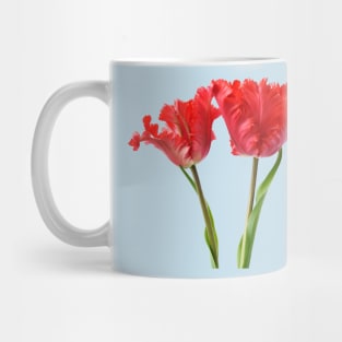 Tulipa  &#39;Garden Fire&#39;   Parrot Tulip Mug